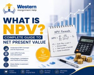Net Present Value